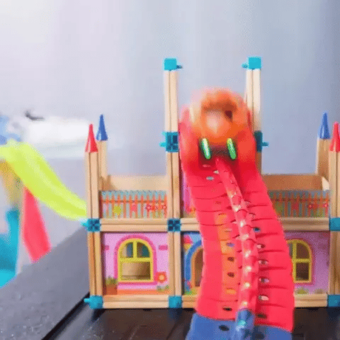 Montessori RaceTrack™